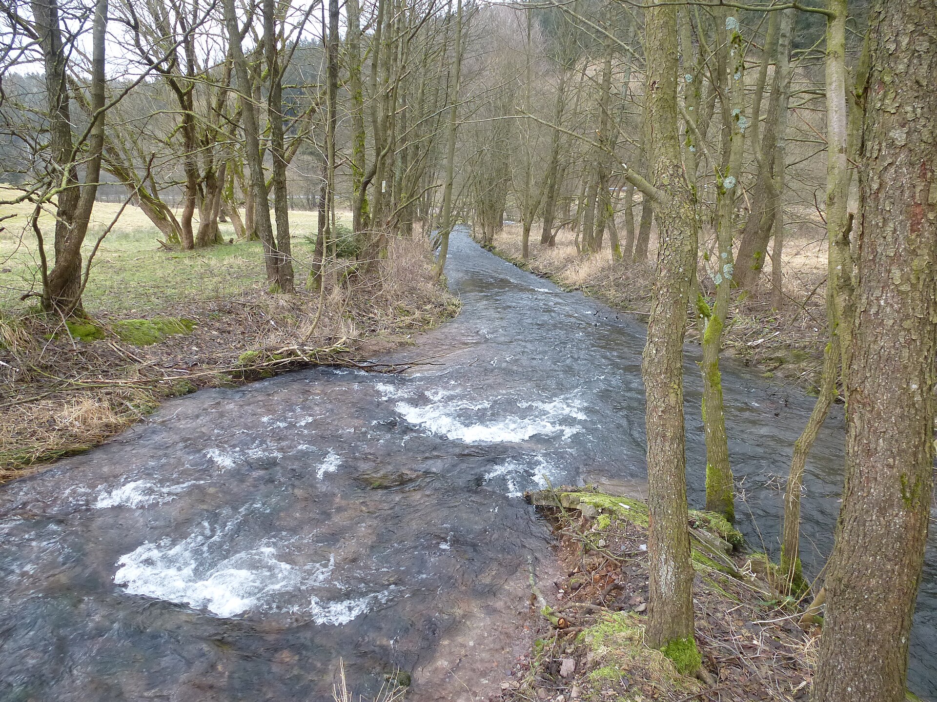 Die junge Ilm am Ilmtal-Radweg oberhalb von Manebach im Thüringer Wald