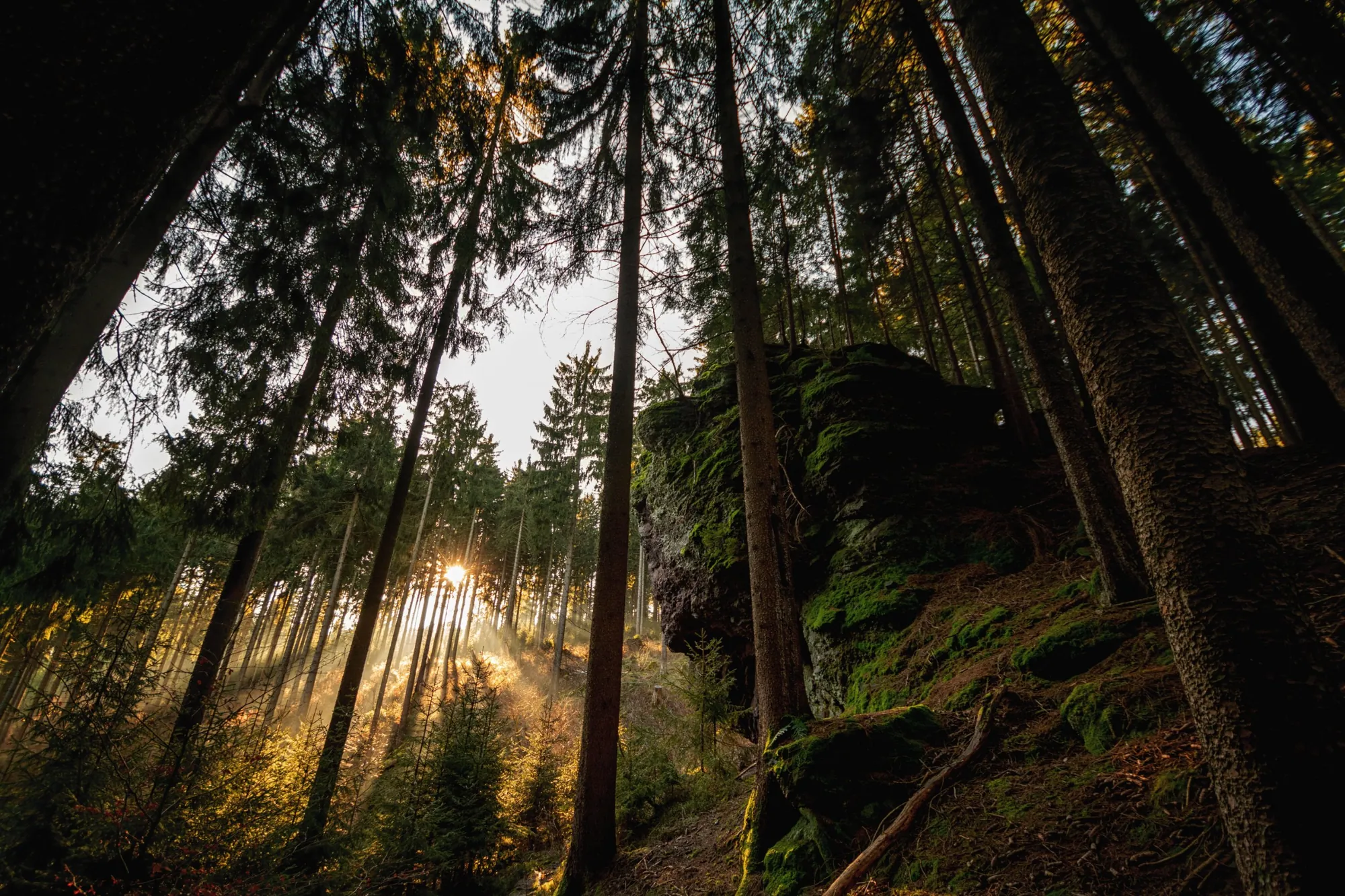 Felsen im Morgennebel im Thüringer Wald bei Ilmenau-Manebach