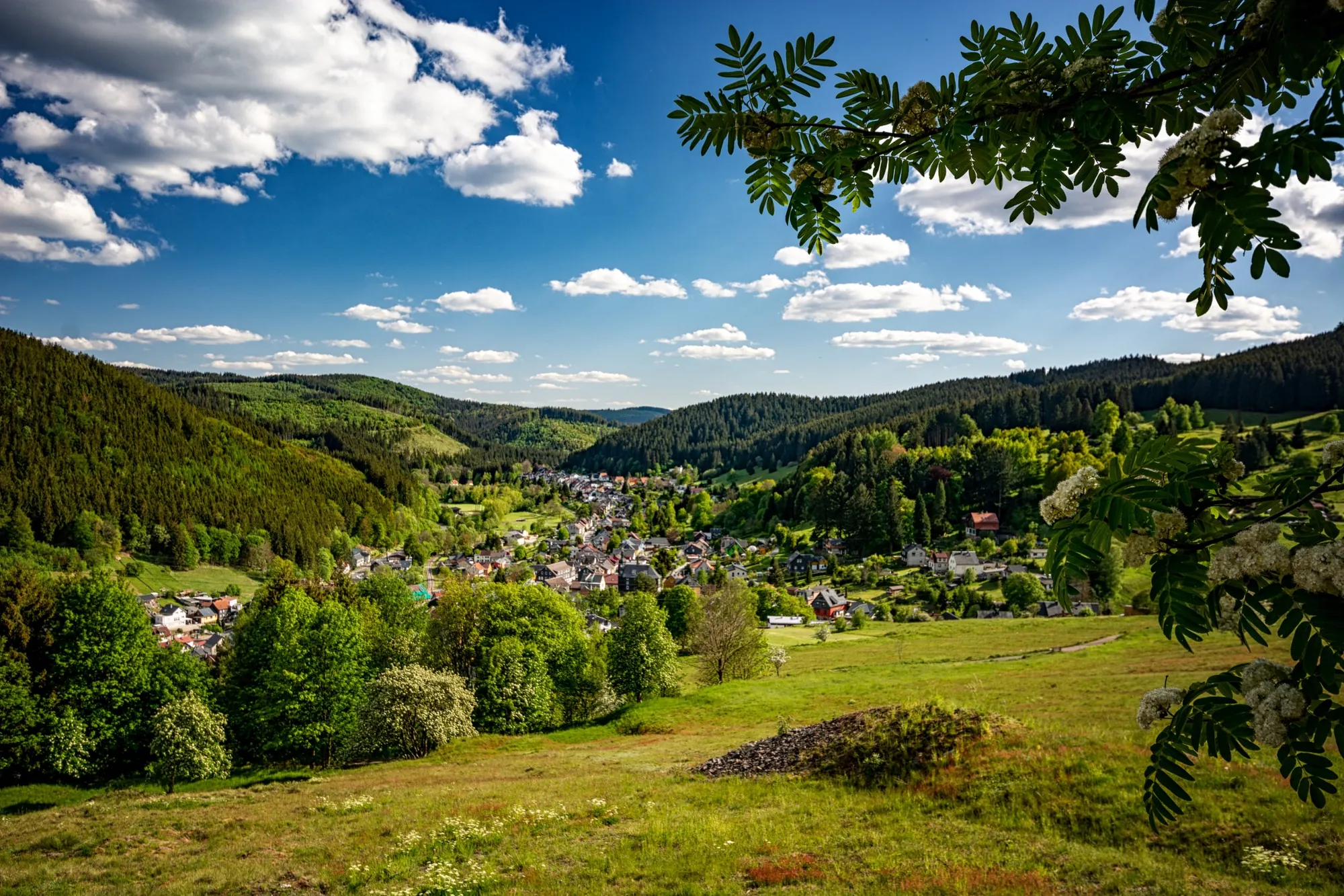 Bergwiese mit Blick ins Ilmtal bei Ilmenau-Manebach im Thüringer Wald