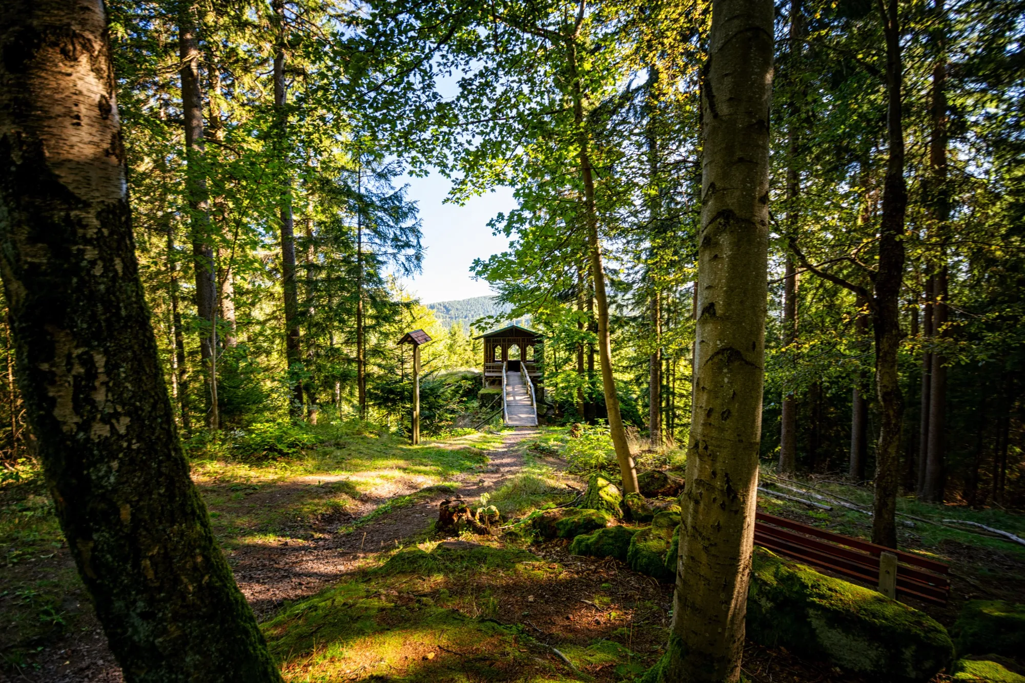 Holzpavillon als Rastplatz beim Wandern im Thüringer Wald bei Ilmenau-Manebach